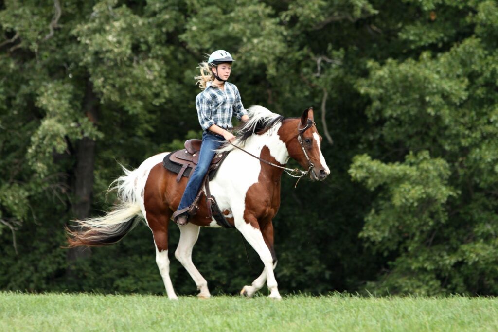 girl riding horse