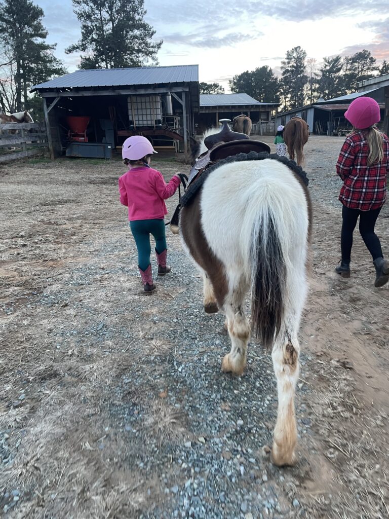 child leading a horse